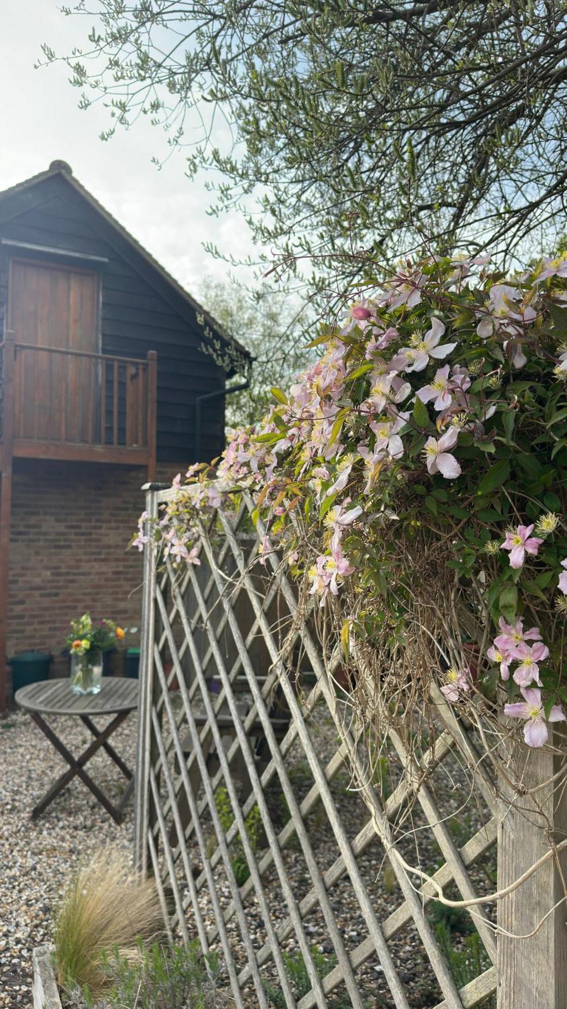 Home In Dorset, Near Jurassic Coast And Arne Wareham Exteriér fotografie